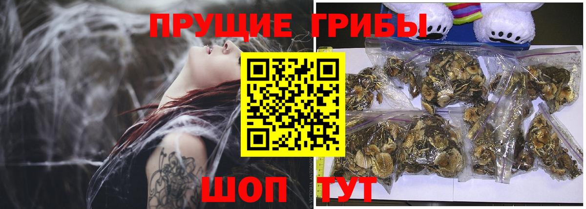 Галлюциногенные грибы ЛСД Горно-Алтайск
